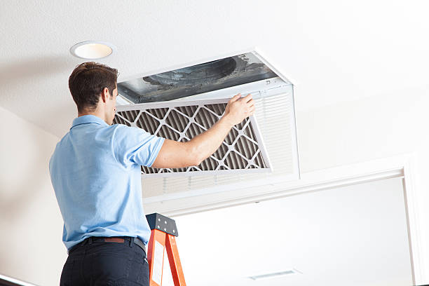 Best Air Filters and Purifiers in Wadesboro, NC